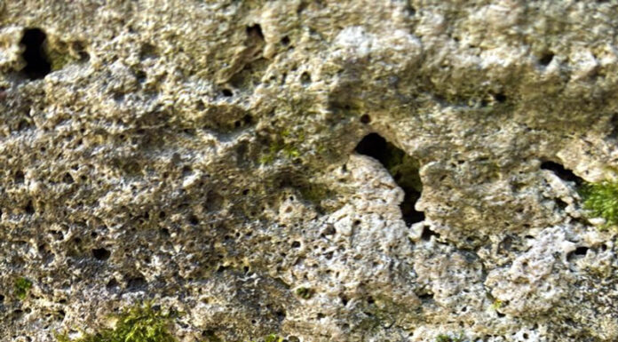 Mușchii cresc, restaurarea operelor amânată la infinit!