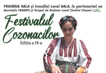 Festival al cozonacilor în apropiere de Gorj!