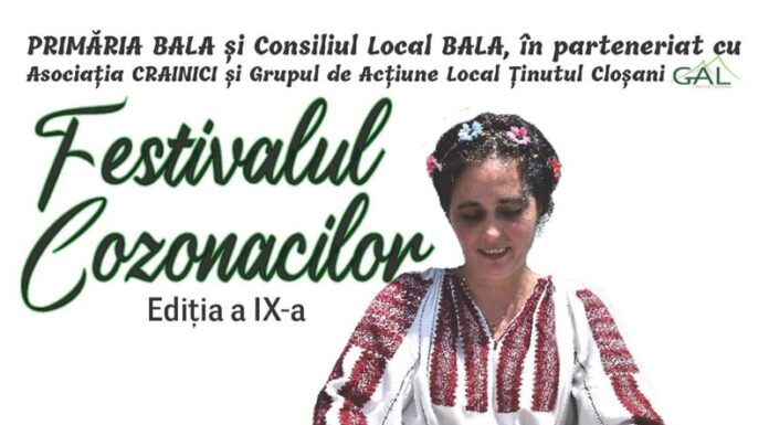 Festival al cozonacilor în apropiere de Gorj!