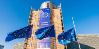 ,,Morile stricate” din curtea guvernului. Un lider sindical din CE Oltenia a scris Comisiei Europene