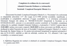 Acționarii CEO, în ședință pentru a stabili bugetul companiei