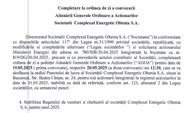 Acționarii CEO, în ședință pentru a stabili bugetul companiei