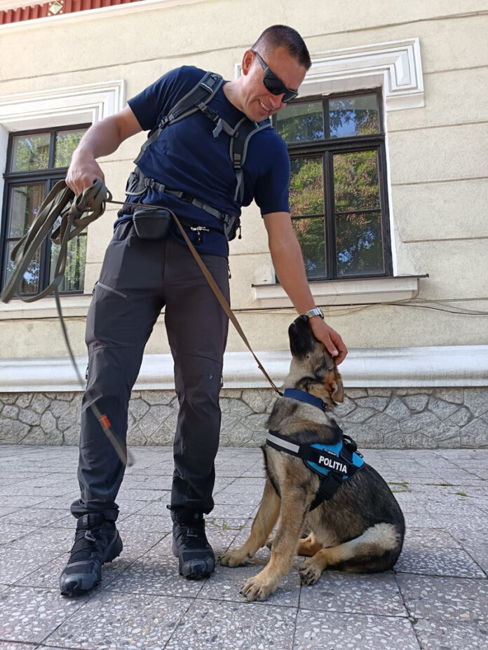 Câinii polițiști care prind infractorii din Gorj
