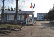 CEO închiriază vehicule industriale cu șofer