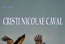 Zborul, surprins prin obiectivul fotografului Cristi Caval