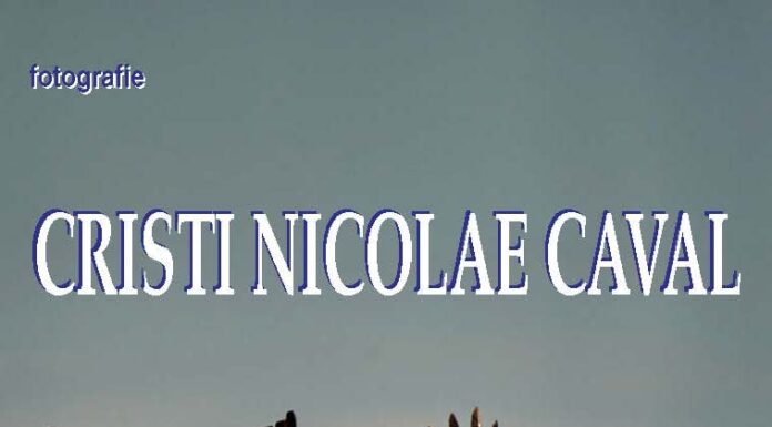 Zborul, surprins prin obiectivul fotografului Cristi Caval