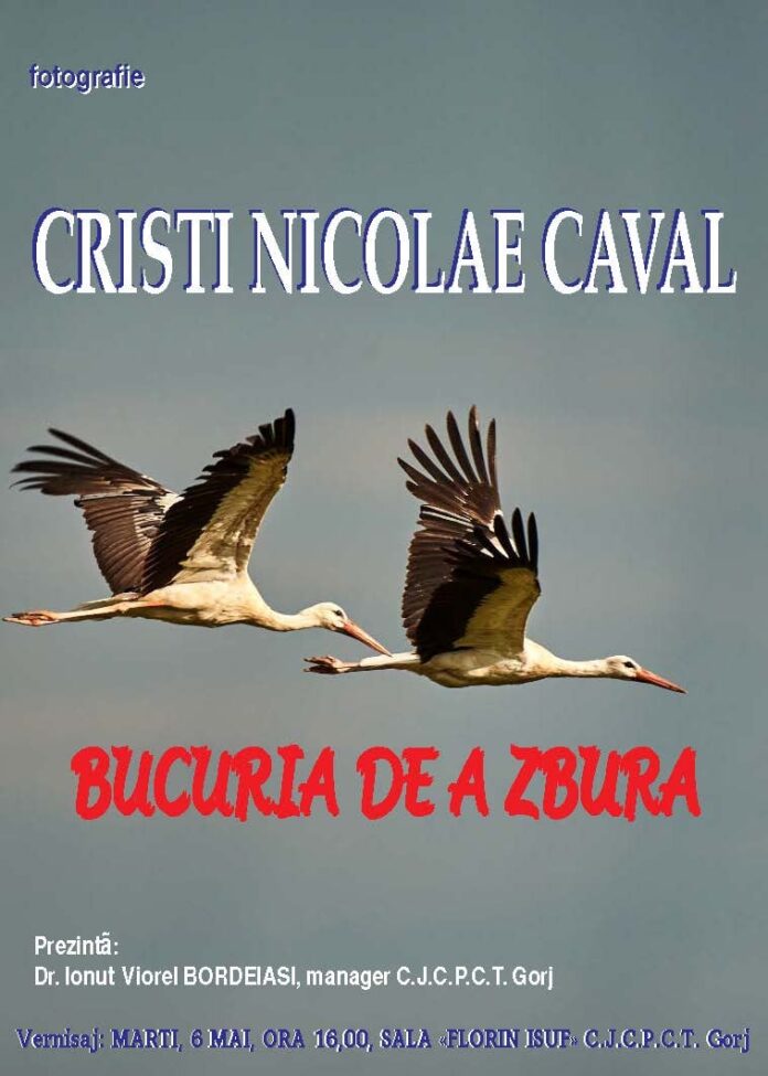 Zborul, surprins prin obiectivul fotografului Cristi Caval