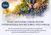 Anunțul APIA pentru viticultori!