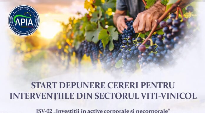 Anunțul APIA pentru viticultori!