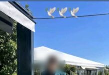 Când va fi condus pe ultimul drum Octavian, tânărul găsit spânzurat