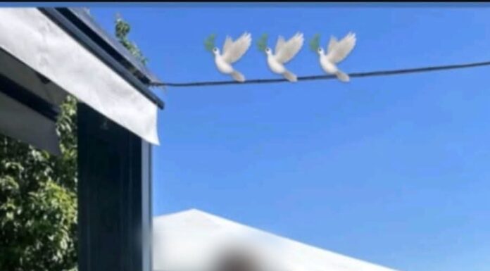 Când va fi condus pe ultimul drum Octavian, tânărul găsit spânzurat