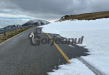 Viscol, din nou, la munte!