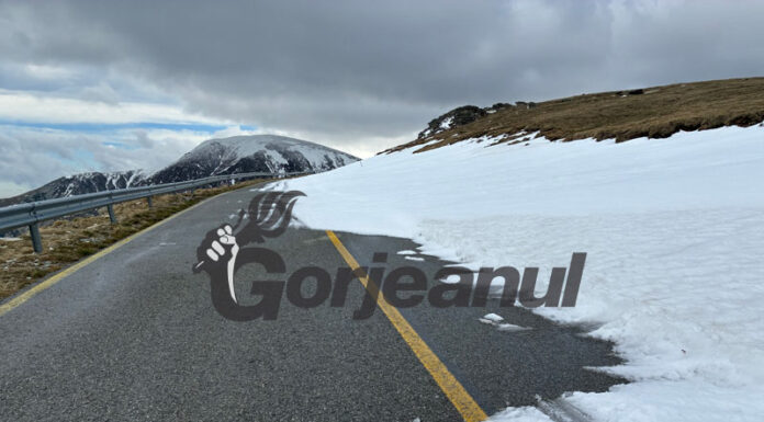 Viscol, din nou, la munte!