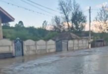 Case și curţi inundate la Alimpești, în urma ploii torenţiale