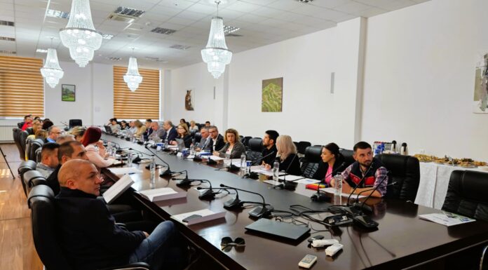 Sprijin pentru microîntreprinderi prin Programul Tranziție Justă