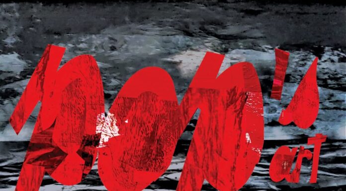 Arta lui POP, între textil și concept: vernisaj la Muzeul Județean Gorj