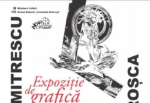 Eveniment special la Muzeul ”Brâncuși”, cu ocazia Nopții Muzeelor