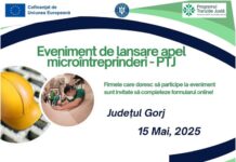 Apel de proiecte în valoare de 49 milioane de euro pentru microîntreprinderile din Gorj