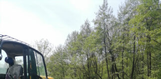 Râul Motru, decolmatat