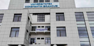 Bursa locurilor de muncă de la Târgu Jiu: 7 persoane angajate pe loc, 273 selectate pentru interviuri