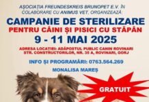 Campania iubitorilor de animale ajunge la Rovinari