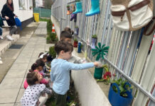 Caravana Reciclării Creative, la Novaci. Proiect finalizat