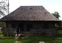 Se caută muzeograf la Casa ”Brâncuși” de la Hobița!