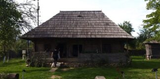 Se caută muzeograf la Casa ”Brâncuși” de la Hobița!