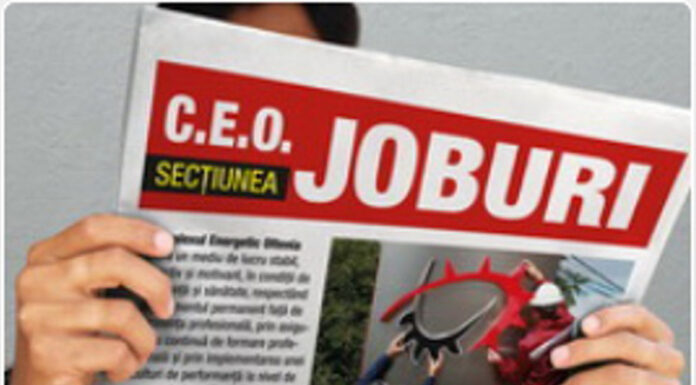 Până la urmă, CEO angajează doar un supraveghetor?