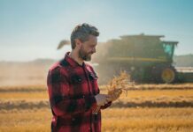 Ce opțiuni au agricultorii pentru a-și susține afacerea?