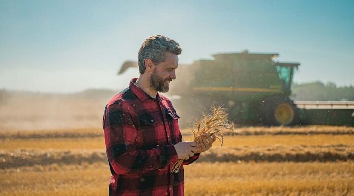 Ce opțiuni au agricultorii pentru a-și susține afacerea?