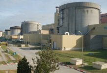 Unitatea 2 de la Cernavodă, oprită de astăzi