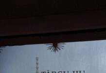 Trei noi cetățeni de onoare la Târgu Jiu