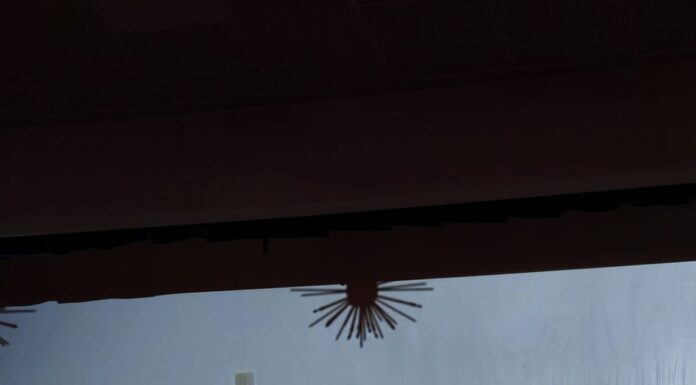 Trei noi cetățeni de onoare la Târgu Jiu