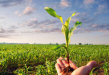 Agricultura pe înțelesul tuturor – Calendarul lucrărilor agricole în luna mai