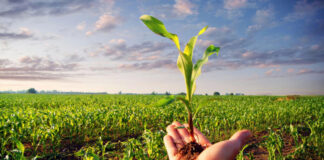 Agricultura pe înțelesul tuturor – Calendarul lucrărilor agricole în luna mai