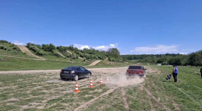 „Cupa Narciselor” revine la Târgu Jiu