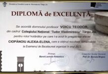 Diplomă de Excelenţă – Menţiuni