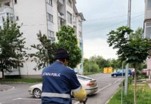 Lucrări de tuns și cosit în Târgu Jiu. Apel către cetățeni