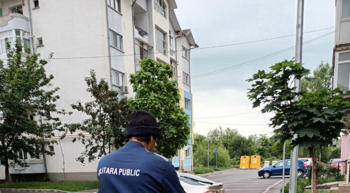 Lucrări de tuns și cosit în Târgu Jiu. Apel către cetățeni