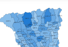 Au votat peste 11.100 de gorjeni. Prezență la urne, de 3,90%