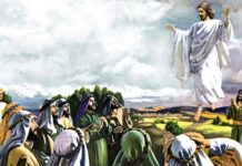 Cerurile sunt deschise între Învierea și Înălțarea Domnului! – „Bărbați galileeni, de ce stați și vă uitați spre cer? Acest Iisus, care s-a înălțat la cer din mijlocul vostru, va veni în același fel cum L-ați văzut mergând la Cer” (Ioan 1:11).