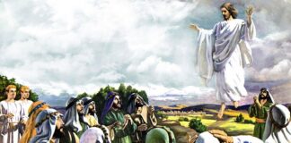 Cerurile sunt deschise între Învierea și Înălțarea Domnului! – „Bărbați galileeni, de ce stați și vă uitați spre cer? Acest Iisus, care s-a înălțat la cer din mijlocul vostru, va veni în același fel cum L-ați văzut mergând la Cer” (Ioan 1:11).