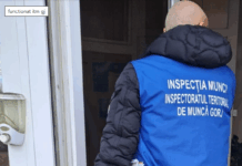 Patron din Văgiulești, amendat de inspectorii de muncă