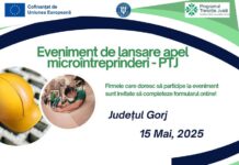 Programul Tranziție Justă: Lansare apel de proiecte pentru microîntreprinderile din Gorj