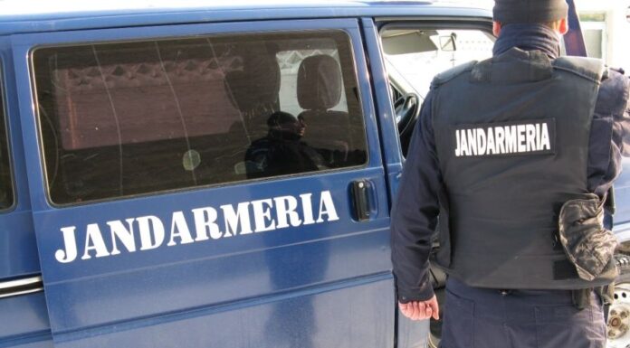 VIDEO: Firmă din Gorj, amendată cu 10.000 de lei de jandarmii montani