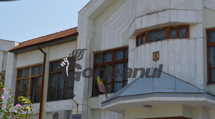 Beat la volan și fără permis!