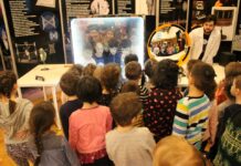 Muzeul Județean lansează „Laboratorul Curiozității”, o experiență științifică interactivă pentru elevi