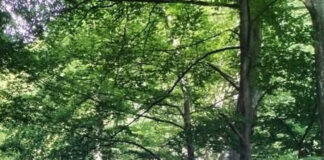 Șef nou la Postul de Jandarmi Montan Tismana