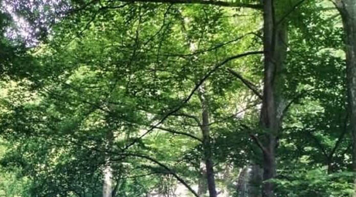 Șef nou la Postul de Jandarmi Montan Tismana